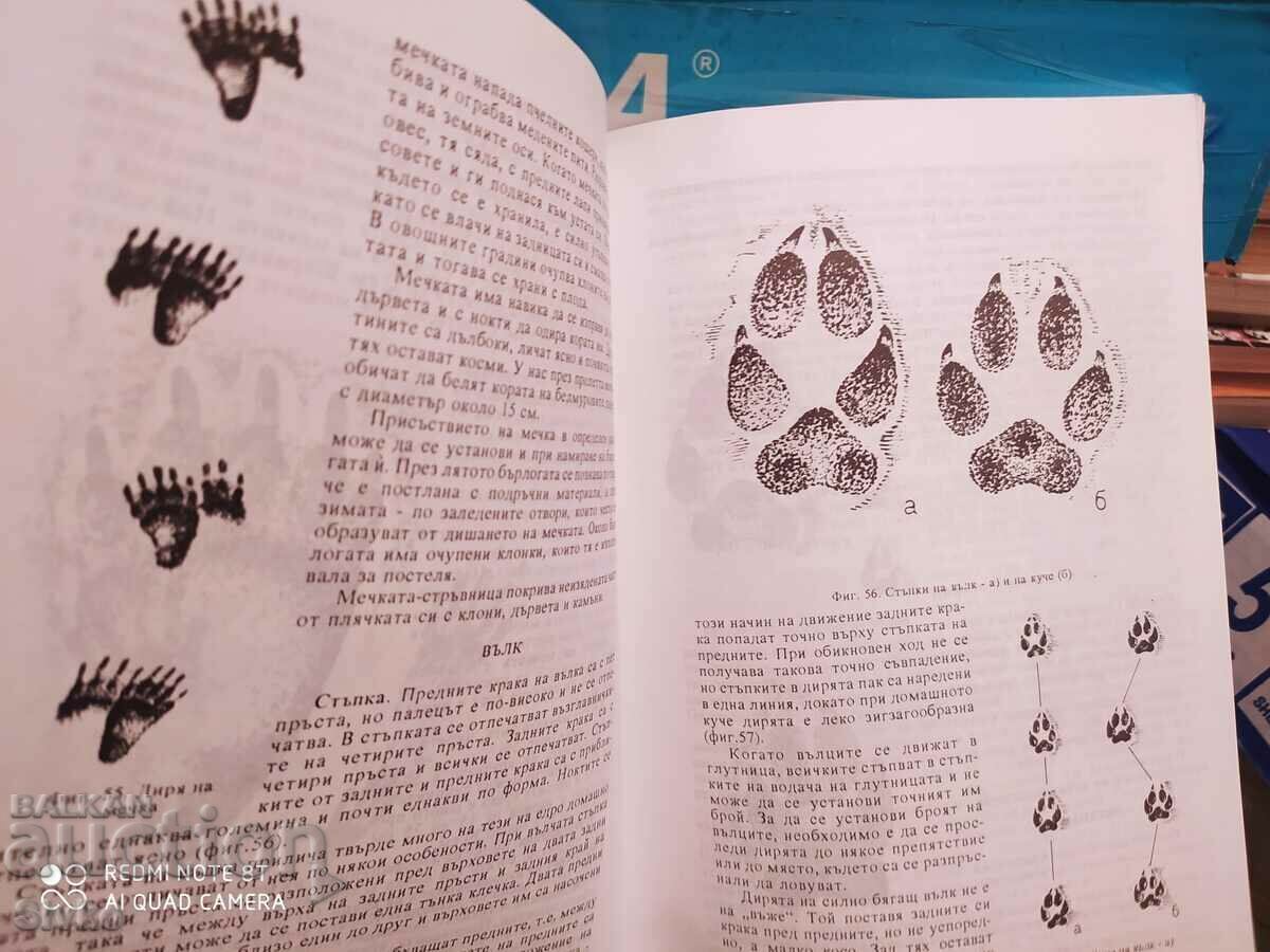 Young Hunter, Nikoa Botev, Ivan Kolev, illustrations with price 4.99 BGN | € 2.55 Young Hunter, Nikoa Botev, Ivan Kolev, illustrations with price 4.99 BGN | € 2.55