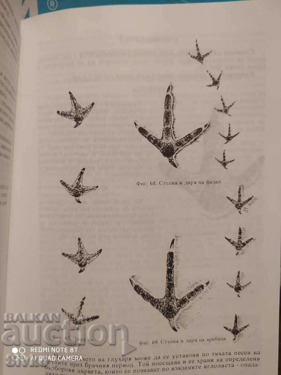 Auction Young Hunter, Nikoa Botev, Ivan Kolev, illustrations Auction Young Hunter, Nikoa Botev, Ivan Kolev, illustrations