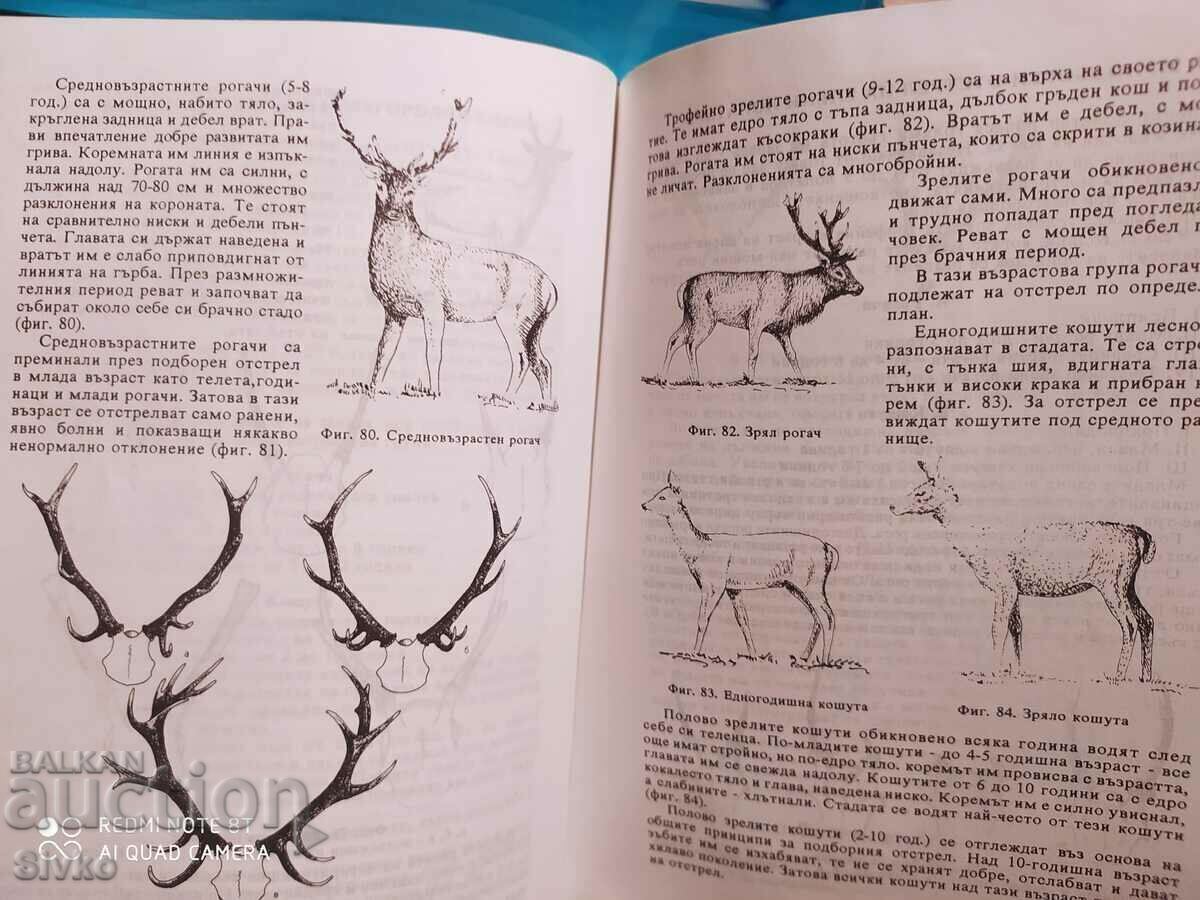 Delivery of Young Hunter, Nikoa Botev, Ivan Kolev, illustrations Delivery of Young Hunter, Nikoa Botev, Ivan Kolev, illustrations