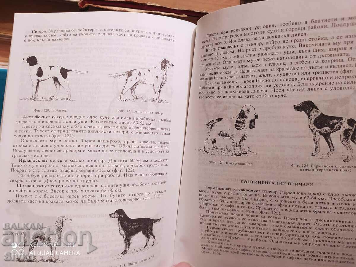 Young Hunter, Nikoa Botev, Ivan Kolev, illustrations - 7 Young Hunter, Nikoa Botev, Ivan Kolev, illustrations - 7