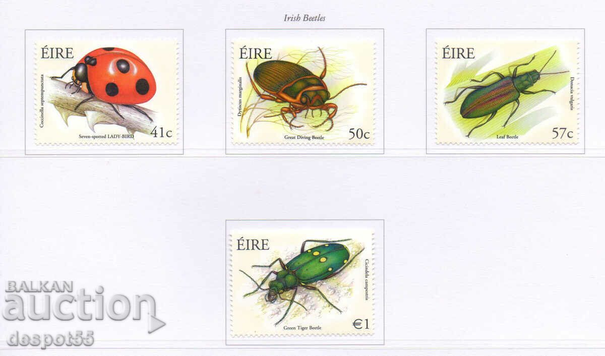 2003. Eire. Beetles.