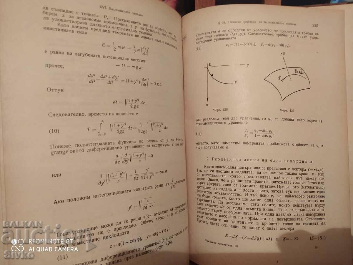 Auction  Applied Mathematics, Prof. Dr. Georgi Bradistilov