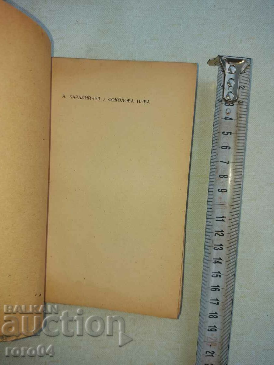 Auction SOKOLOVA NIVA - ANGEL KARALIYCHEV Auction SOKOLOVA NIVA - ANGEL KARALIYCHEV