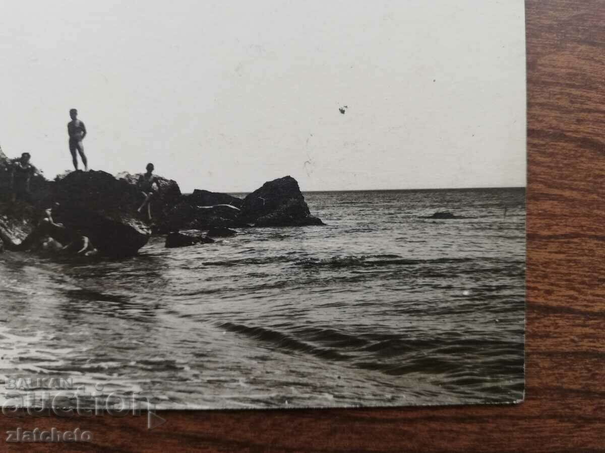 Old photo Kingdom of Bulgaria - Atliman beach!! Kitten with price 10.00 BGN | € 5.11 Old photo Kingdom of Bulgaria - Atliman beach!! Kitten with price 10.00 BGN | € 5.11