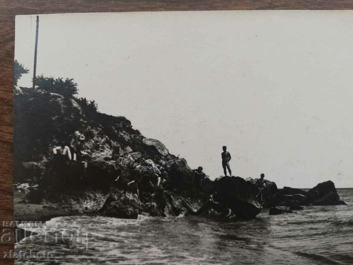 Auction Old photo Kingdom of Bulgaria - Atliman beach!! Kitten Auction Old photo Kingdom of Bulgaria - Atliman beach!! Kitten