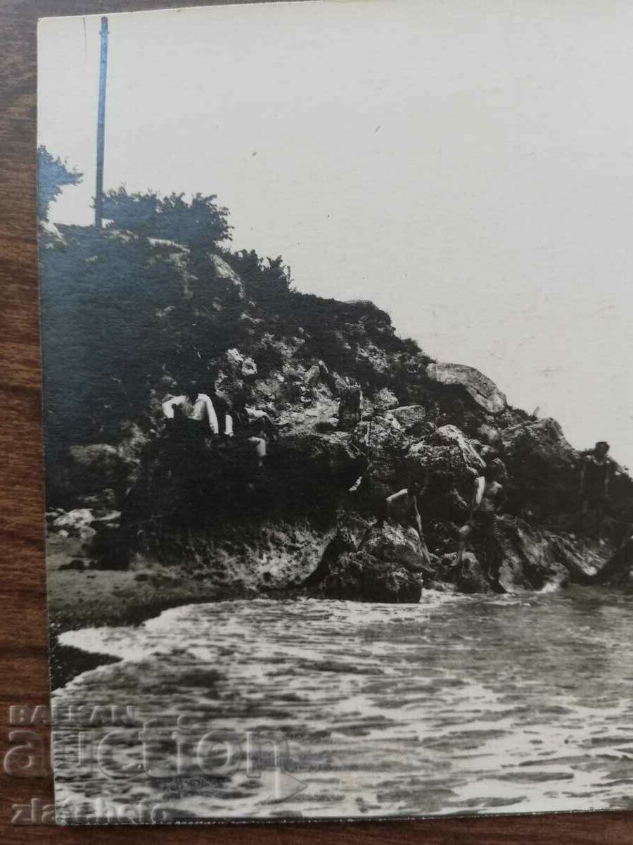 Delivery of Old photo Kingdom of Bulgaria - Atliman beach!! Kitten Delivery of Old photo Kingdom of Bulgaria - Atliman beach!! Kitten