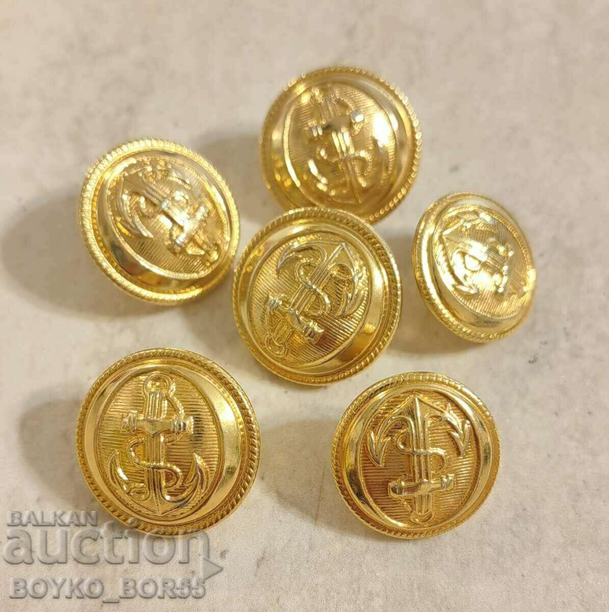 Lot Gold Plated Parade Navy Military Marine Buttons