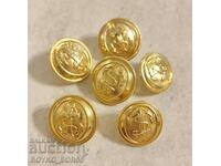 Lot Gold Plated Parade Navy Military Marine Buttons