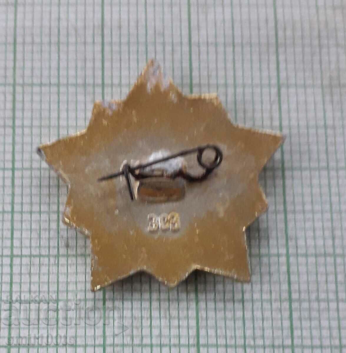 Delivery of Badge - Warrior athlete 2nd rank Delivery of Badge - Warrior athlete 2nd rank