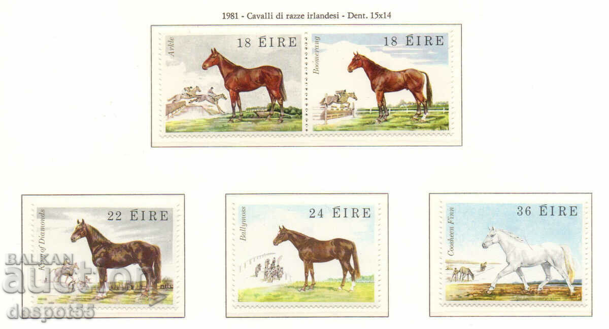 1981. Eire. Ιρλανδικά άλογα.