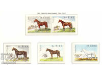 1981. Eire. Irish horses.