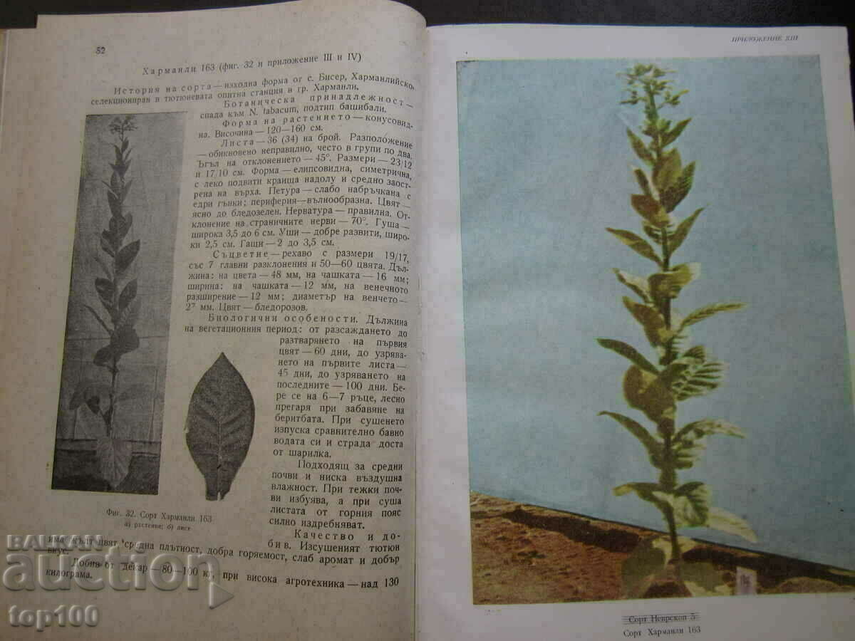 Auction TOBACCO PRODUCTION BY PROFESSOR D.ATANASOV - 1962 BZC !!! Auction TOBACCO PRODUCTION BY PROFESSOR D.ATANASOV - 1962 BZC !!!