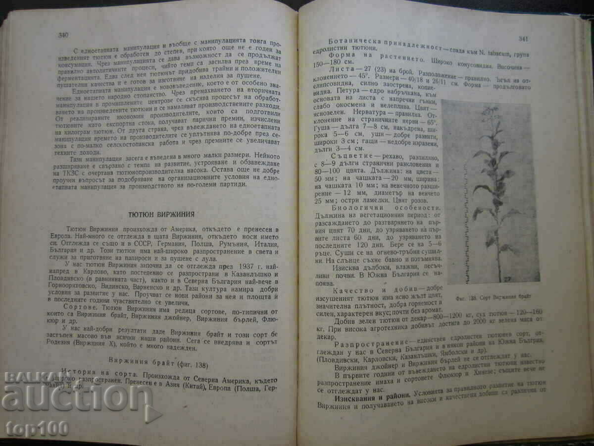 TOBACCO PRODUCTION BY PROFESSOR D.ATANASOV - 1962 BZC !!! - 6 TOBACCO PRODUCTION BY PROFESSOR D.ATANASOV - 1962 BZC !!! - 6