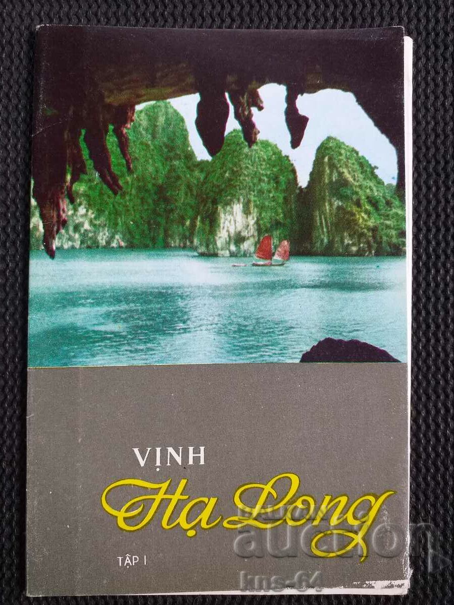 Vietnam Lot