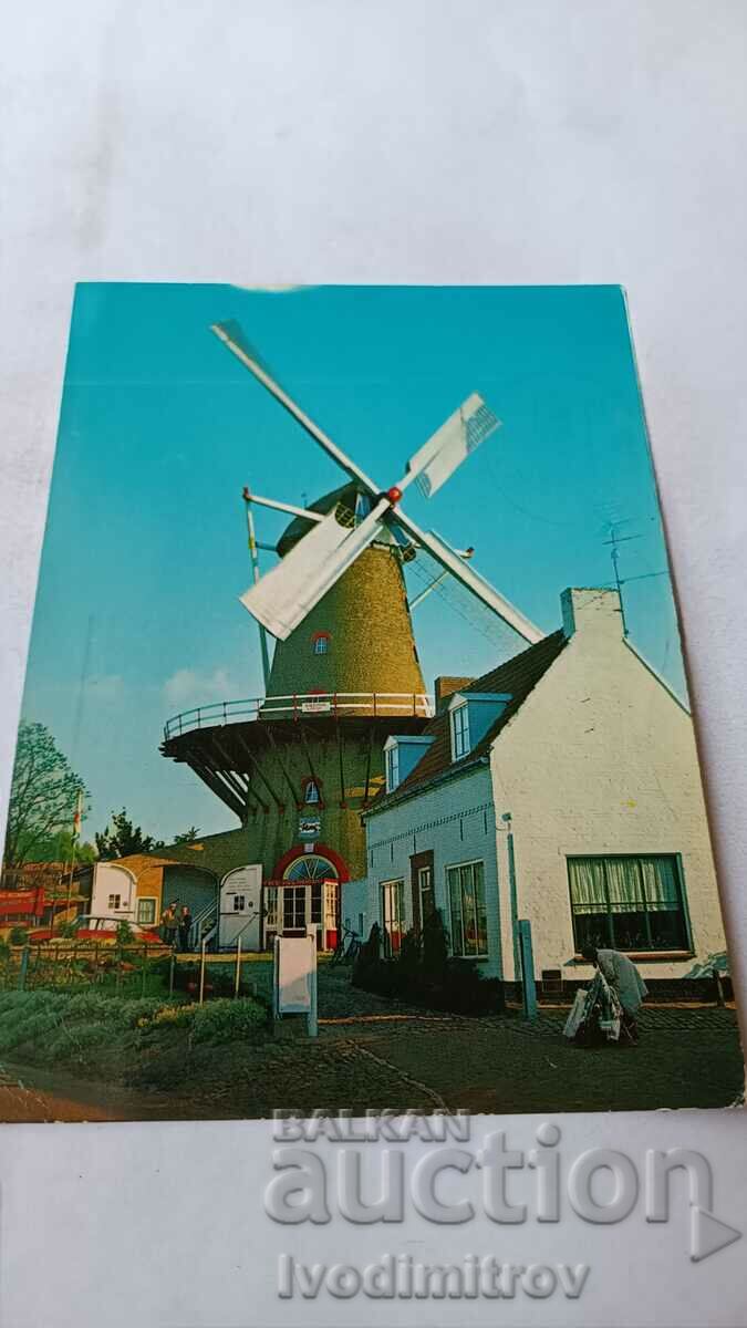Sluis Holland postcard