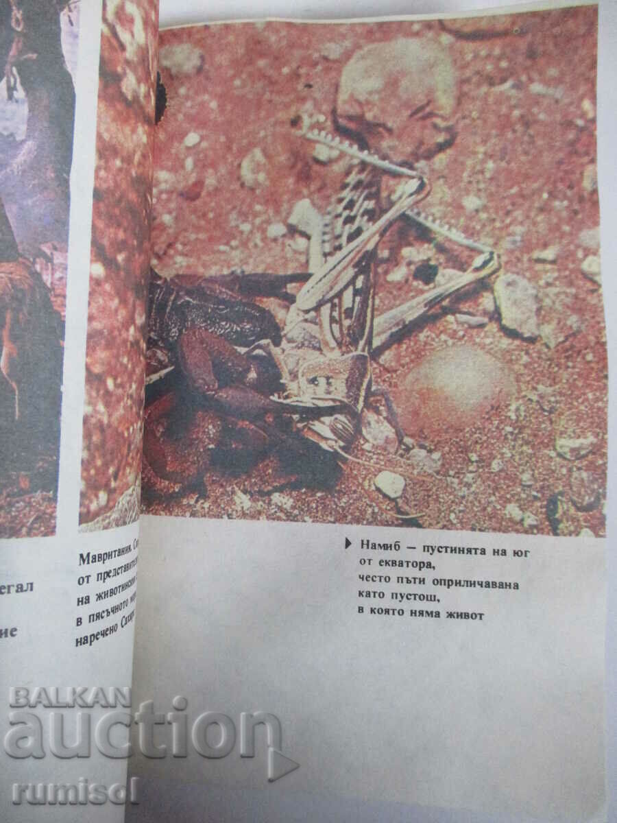 Срещи с непознати страни - Никола Рашев - 5 Срещи с непознати страни - Никола Рашев - 5