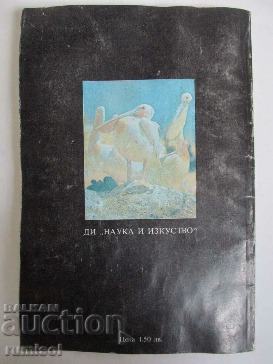 Срещи с непознати страни - Никола Рашев - 6 Срещи с непознати страни - Никола Рашев - 6