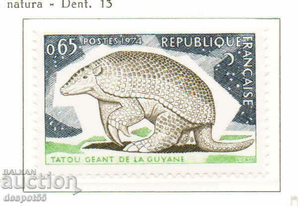 1974. France. Nature conservation - Priodontes giganteus.