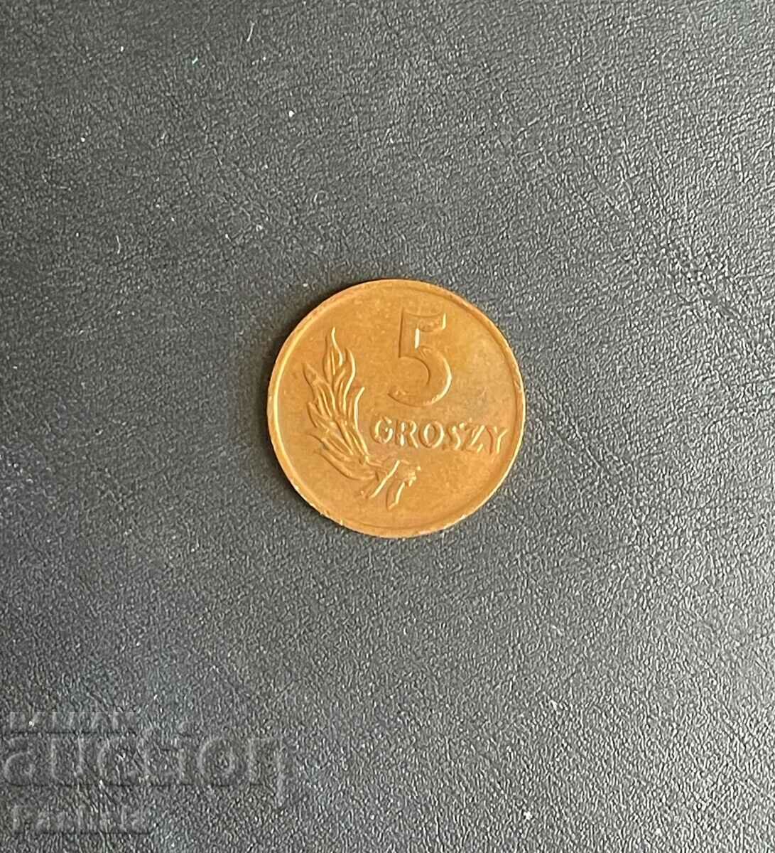 Полша 5 гроша 1949 г.
