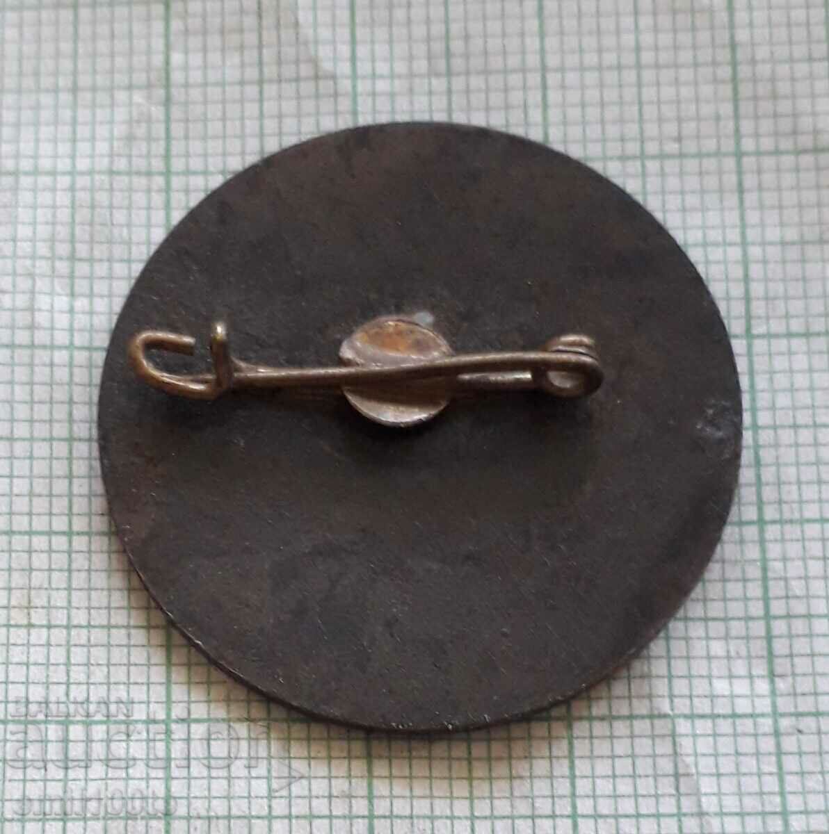 Livrarea Insigna - Știința și Tehnologia URSS Livrarea Insigna - Știința și Tehnologia URSS