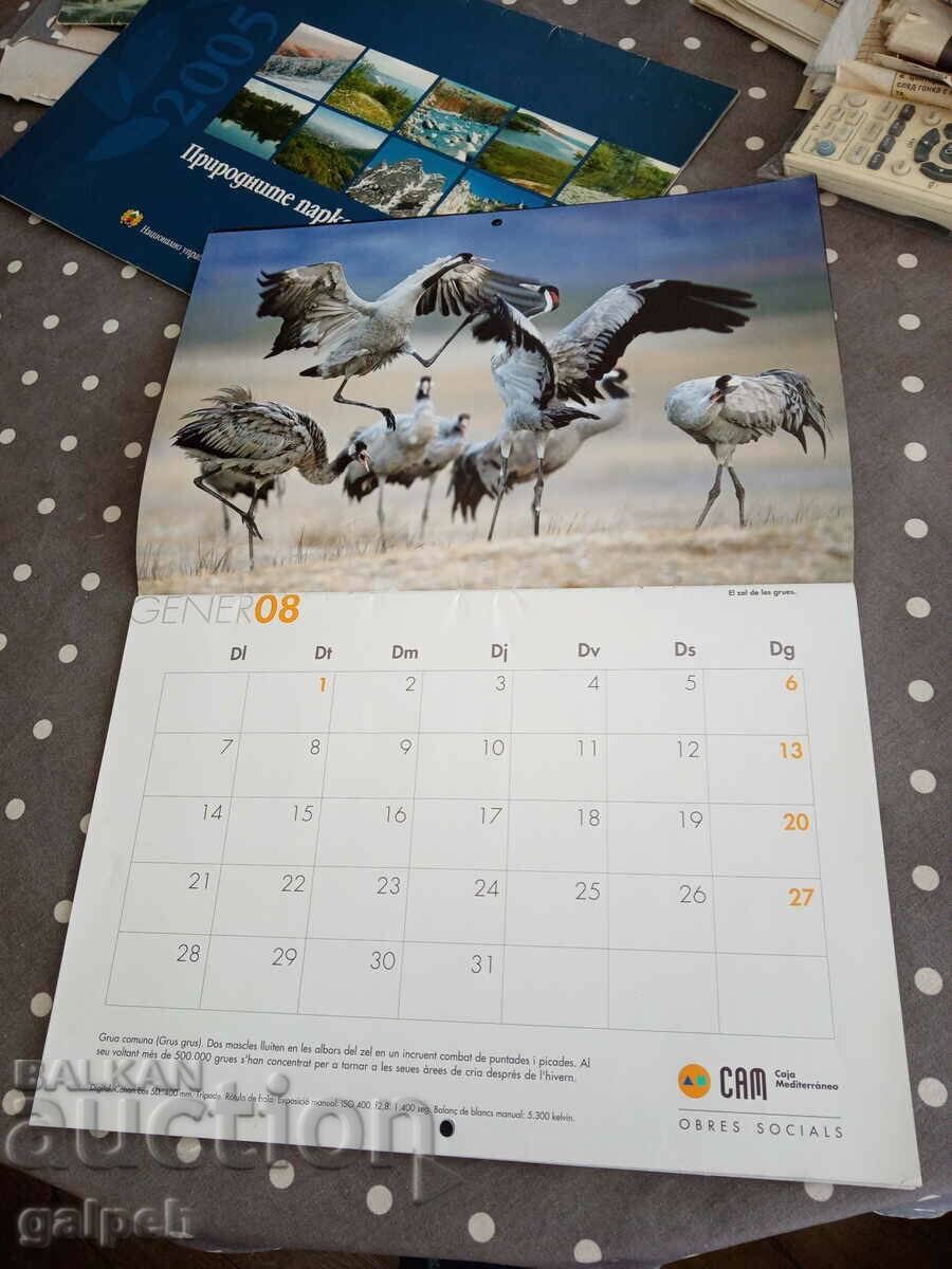 Auction  CALENDAR BULGARIA 2008 - BGN 2.0