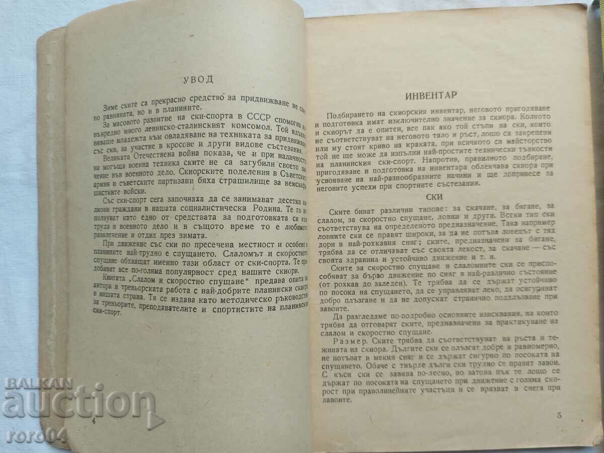 Auction  SLALOMM - V.E. NAGORNI