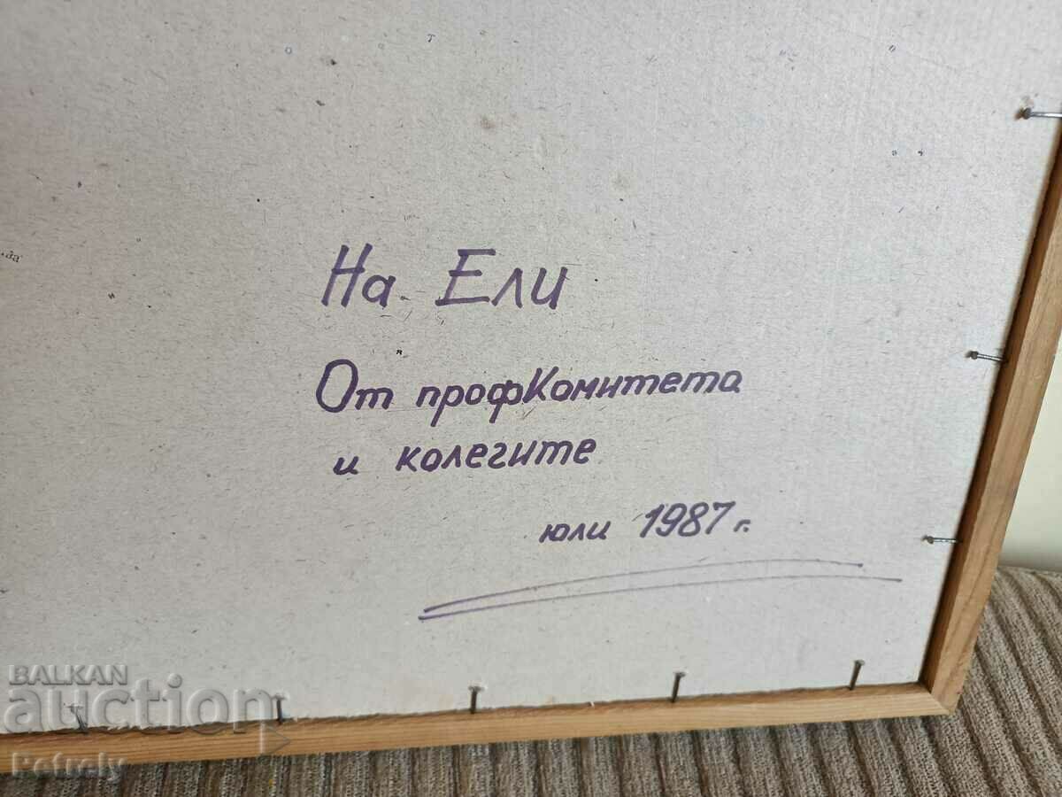 Picture Prof. Stoyan Stoyanov Techi - 6 Picture Prof. Stoyan Stoyanov Techi - 6