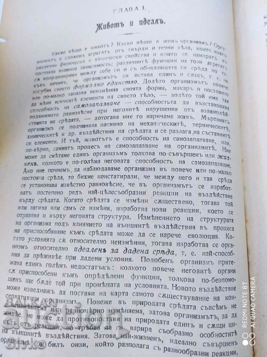 Auction  The foundations of positive aesthetics, Anatolii Lunacharski, before