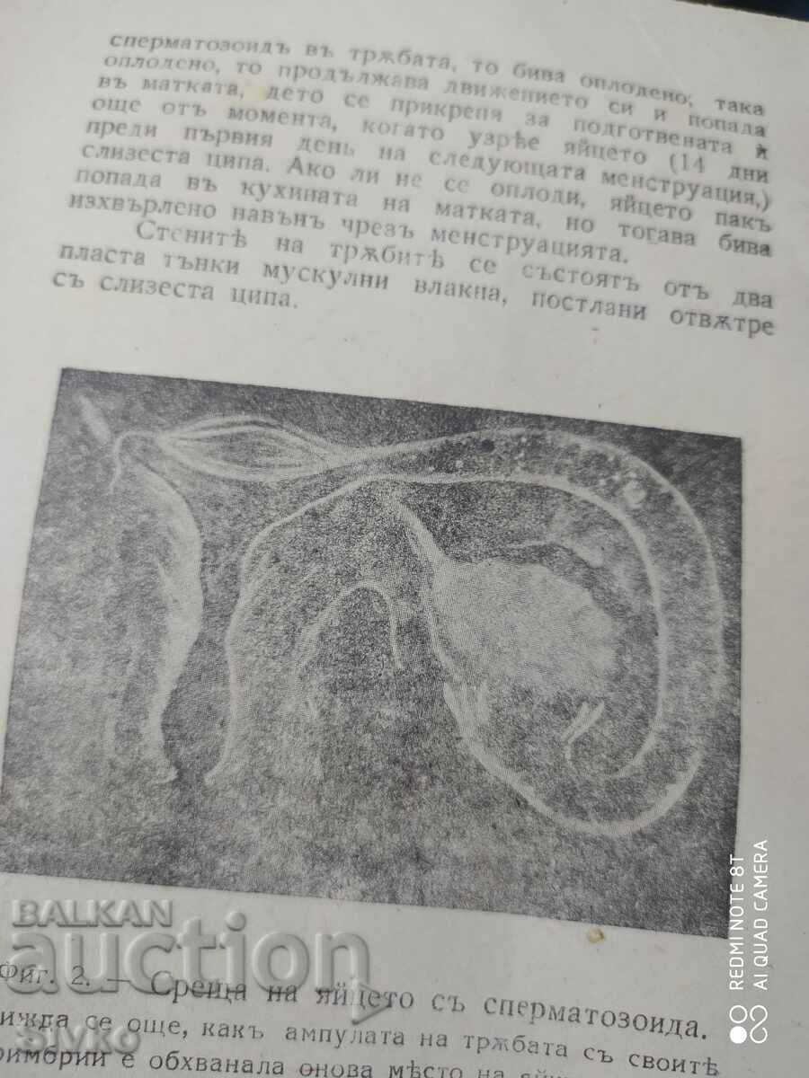 Auction  Sex life and sexual disorders in women, Dr. Iv.