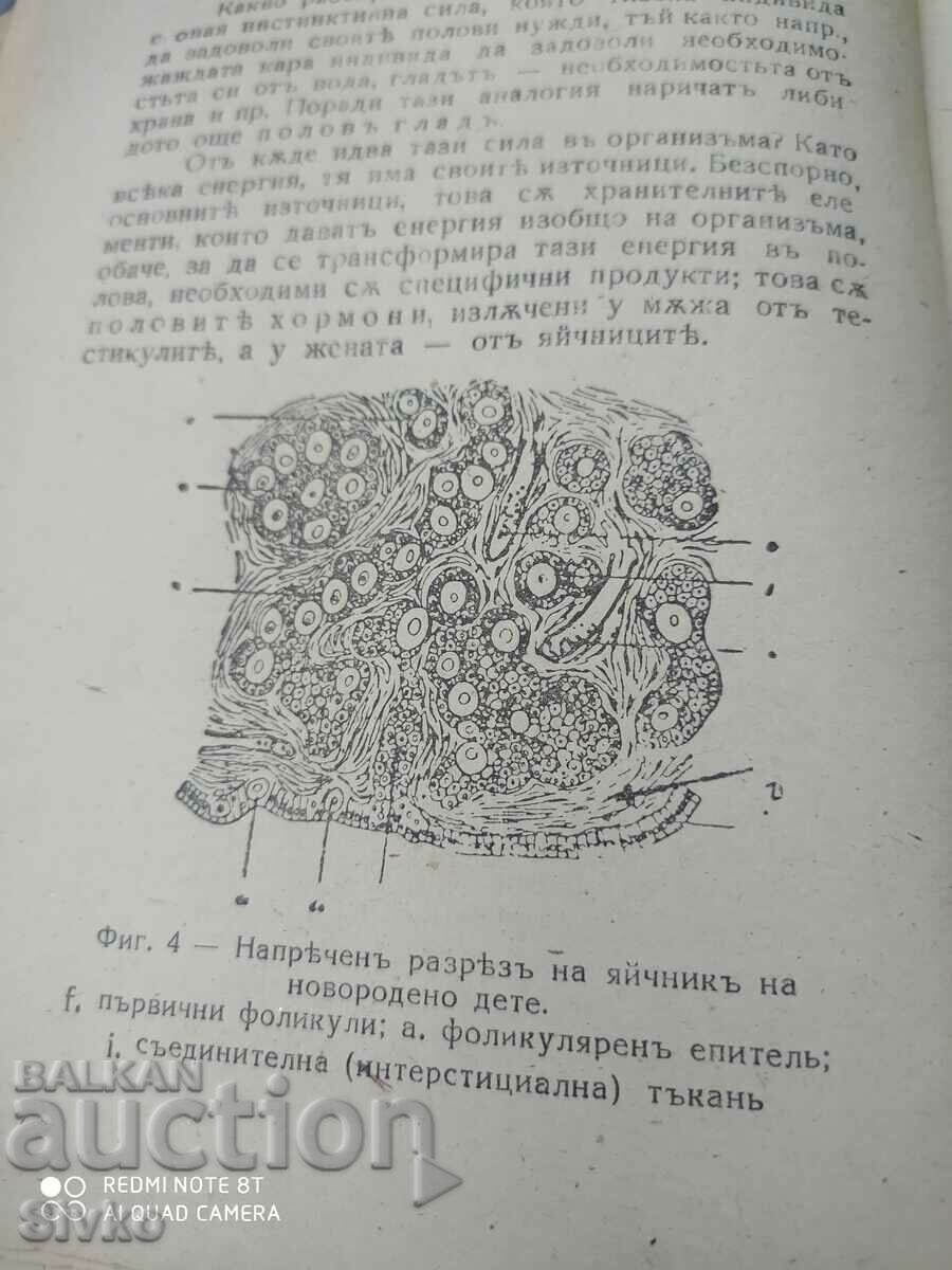 Sex life and sexual disorders in women, Dr. Iv. - 5