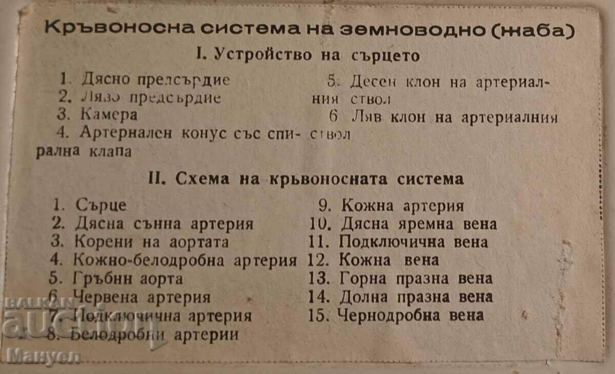 Vechea tablă educațională. cu preț 34.00 BGN | € 17.38 Vechea tablă educațională. cu preț 34.00 BGN | € 17.38