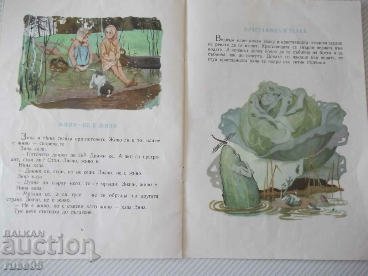 Book "The Blue Glove - R. Baumwall" - 20 pages. - 5 Book "The Blue Glove - R. Baumwall" - 20 pages. - 5