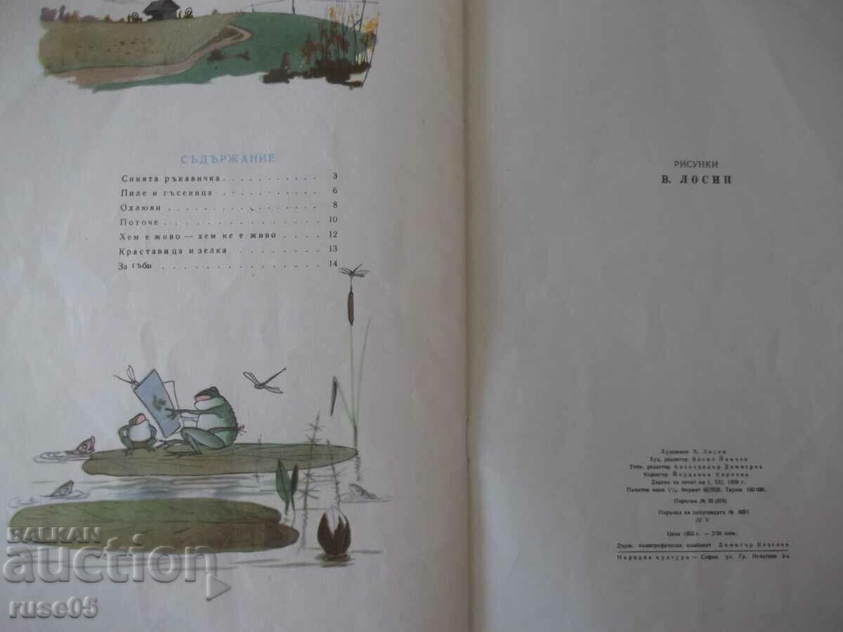 Book "The Blue Glove - R. Baumwall" - 20 pages. - 6 Book "The Blue Glove - R. Baumwall" - 20 pages. - 6