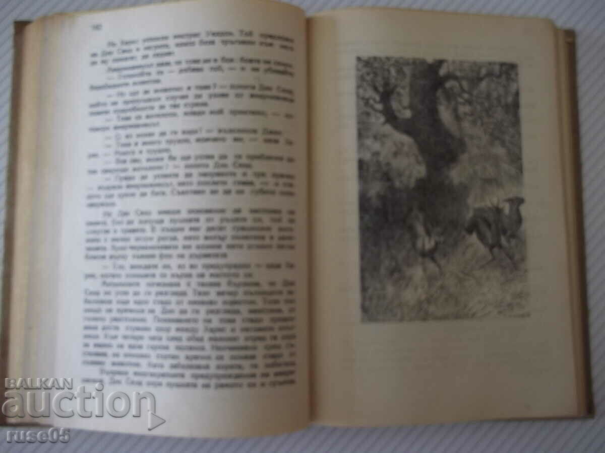 Delivery of Book "The Fifteen-Year-Old Captain Dick Sand-Jules Verne"-358 pages