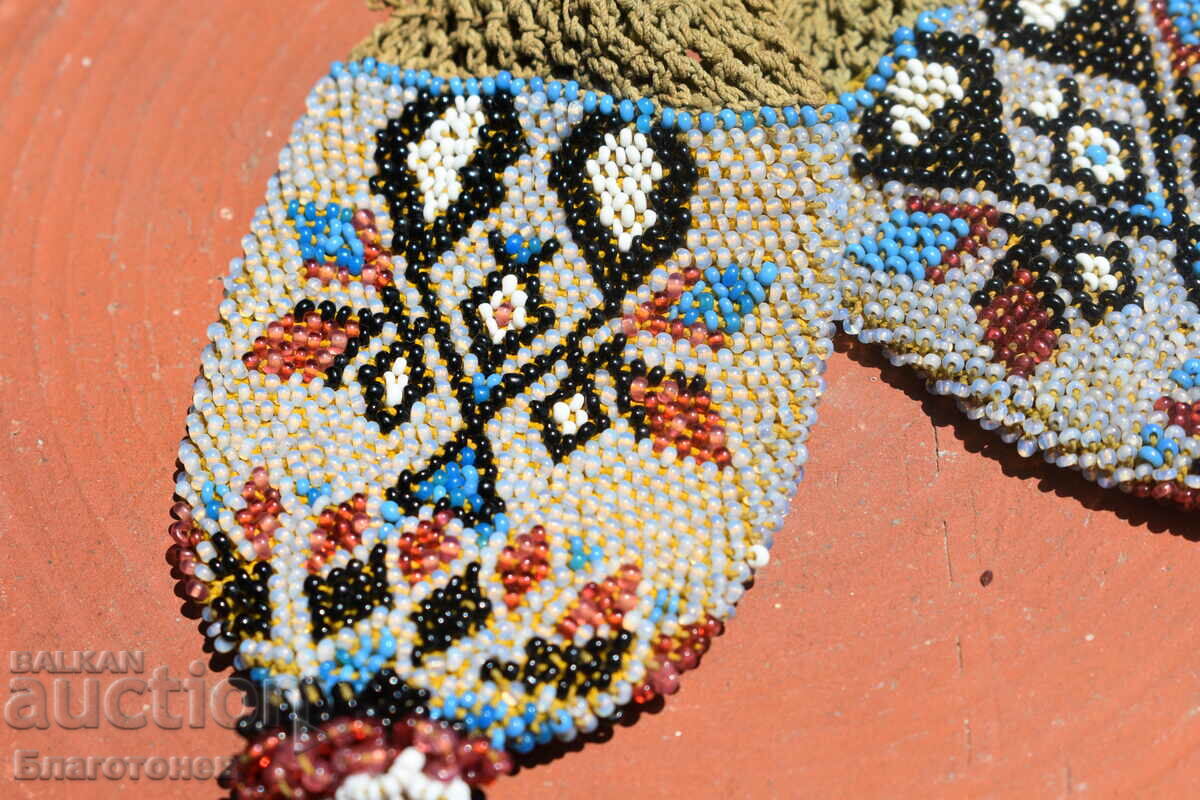 Kisia pungia - 6 Kisia pungia - 6