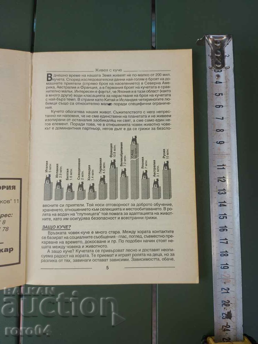 Auction I LIVE WITH A DOG Auction I LIVE WITH A DOG