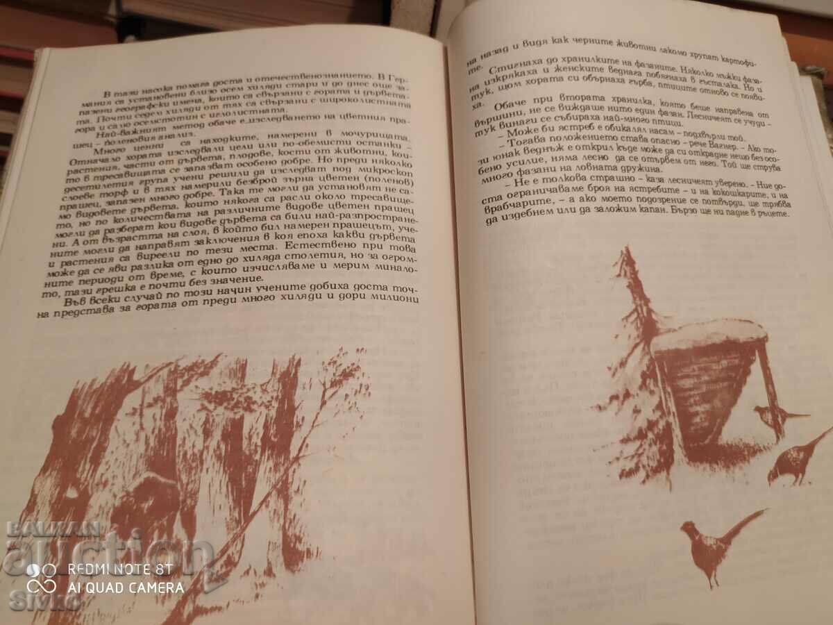 The Great Book of the Forest, Wolfgang Zeiske, many illustrations - 5 The Great Book of the Forest, Wolfgang Zeiske, many illustrations - 5