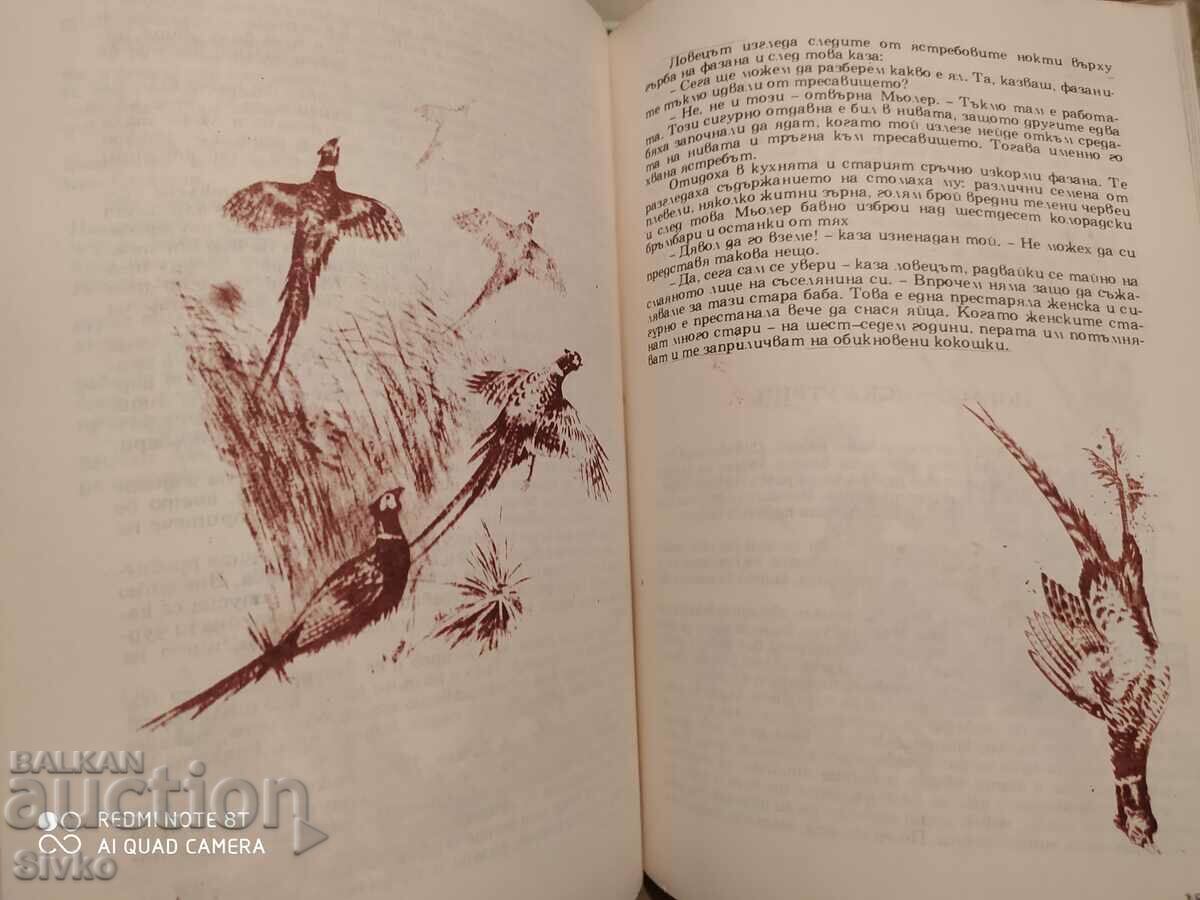 The Great Book of the Forest, Wolfgang Zeiske, many illustrations - 6 The Great Book of the Forest, Wolfgang Zeiske, many illustrations - 6