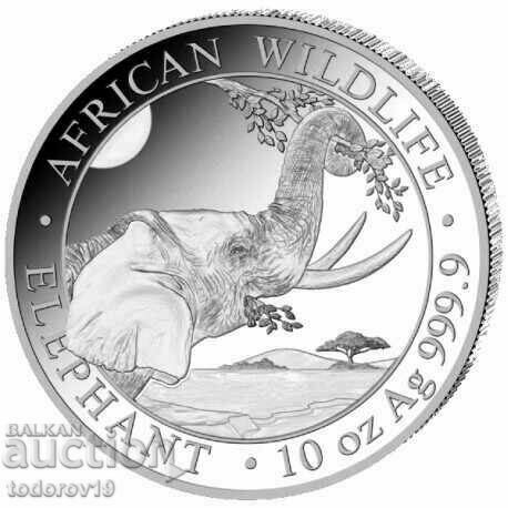 Elefant somalez de argint 10 oz 2023