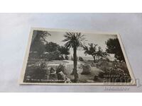Postcard Varna Sea Garden 1946