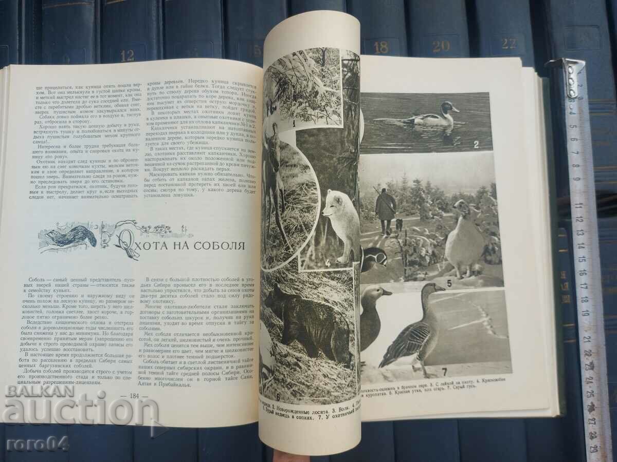 Παράδοση ΚΥΝΗΓΙ - ΒΙΒΛΙΟ ΓΡΑΦΕΙΟΥ - Ο ΑΘΛΗΤΗΣ ΚΥΝΗΓΟΣ Παράδοση ΚΥΝΗΓΙ - ΒΙΒΛΙΟ ΓΡΑΦΕΙΟΥ - Ο ΑΘΛΗΤΗΣ ΚΥΝΗΓΟΣ