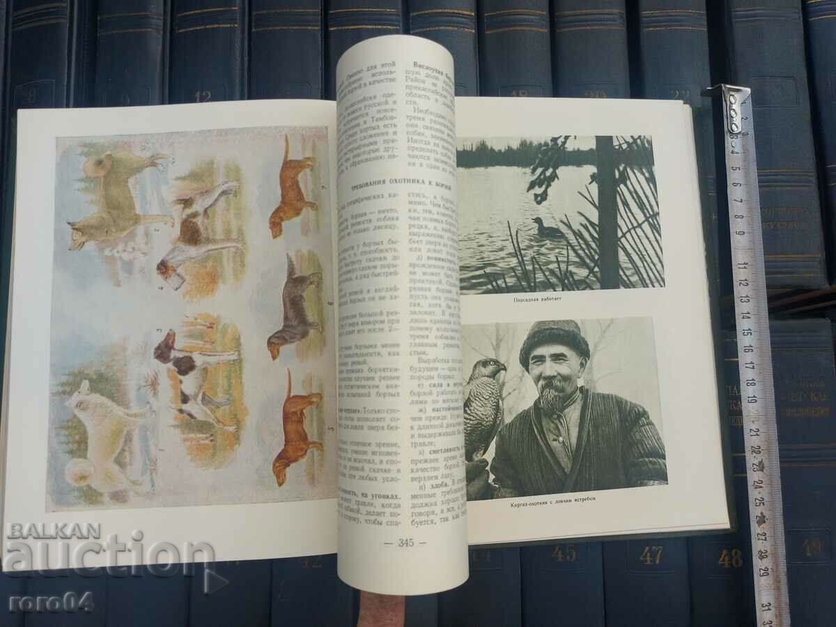 ΚΥΝΗΓΙ - ΒΙΒΛΙΟ ΓΡΑΦΕΙΟΥ - Ο ΑΘΛΗΤΗΣ ΚΥΝΗΓΟΣ - 5 ΚΥΝΗΓΙ - ΒΙΒΛΙΟ ΓΡΑΦΕΙΟΥ - Ο ΑΘΛΗΤΗΣ ΚΥΝΗΓΟΣ - 5