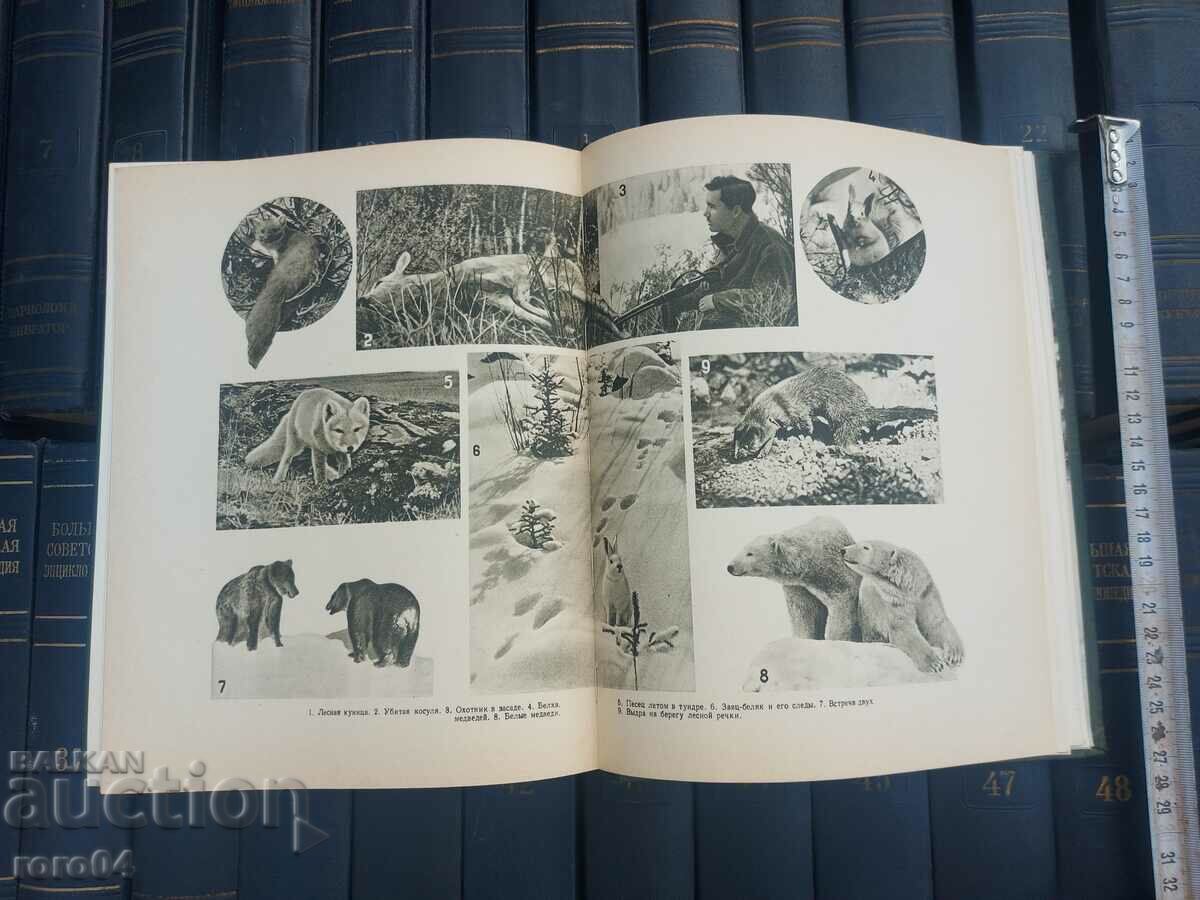 ΚΥΝΗΓΙ - ΒΙΒΛΙΟ ΓΡΑΦΕΙΟΥ - Ο ΑΘΛΗΤΗΣ ΚΥΝΗΓΟΣ - 6 ΚΥΝΗΓΙ - ΒΙΒΛΙΟ ΓΡΑΦΕΙΟΥ - Ο ΑΘΛΗΤΗΣ ΚΥΝΗΓΟΣ - 6