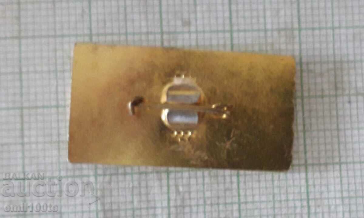 Delivery of Badge - Komsomol report to the Revolution Construction troops