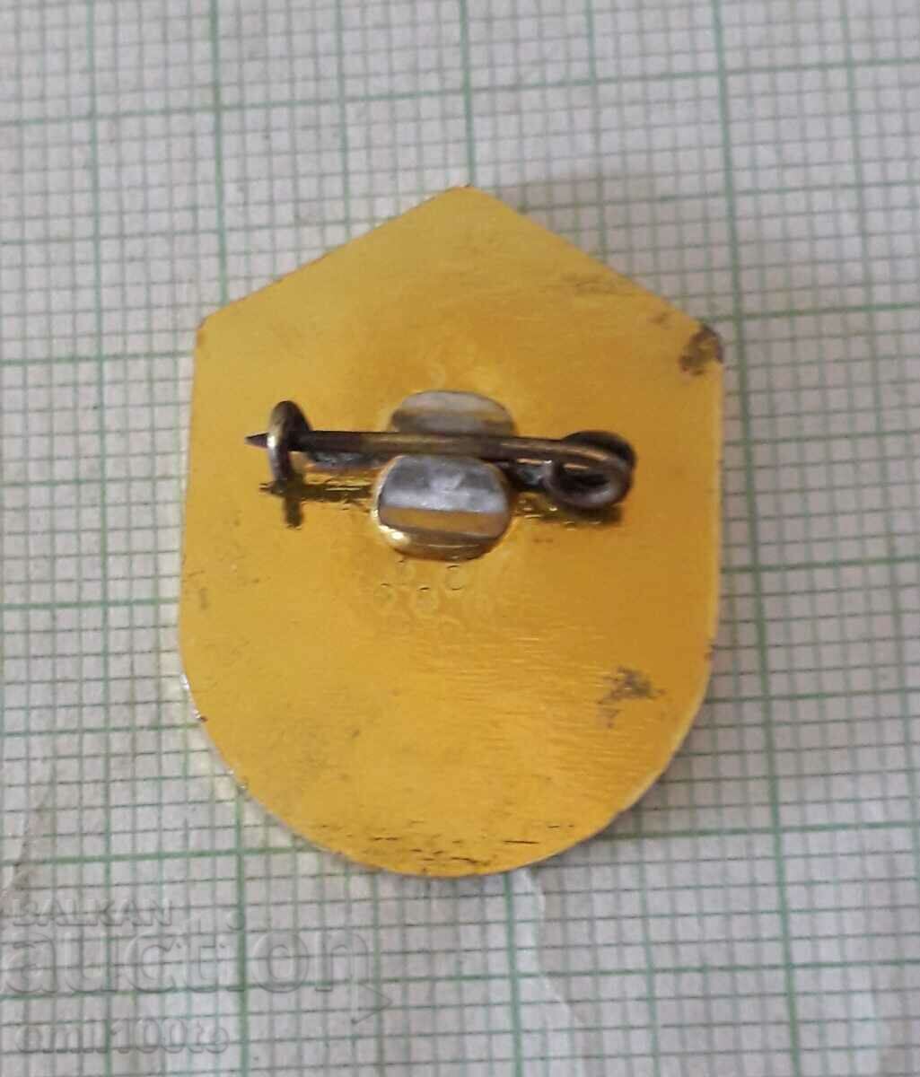 Delivery of Badge - Excellent at the NVO Initial Military Training