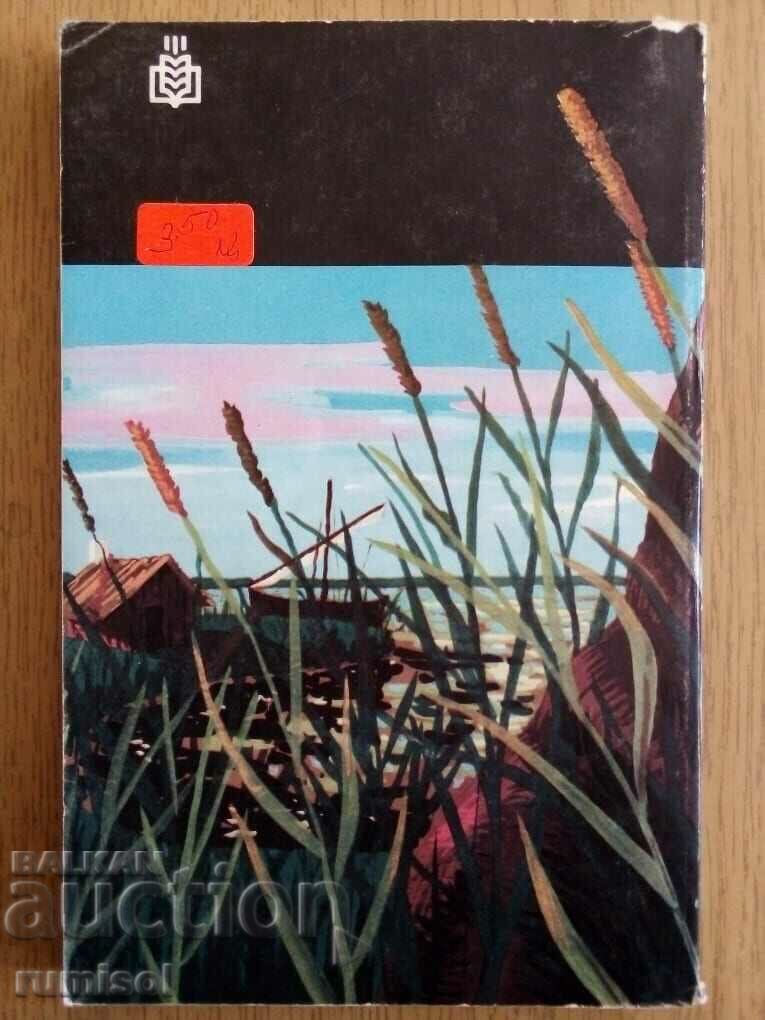 Auction Reed and mud - Vicenza Blasco Ibañes Auction Reed and mud - Vicenza Blasco Ibañes