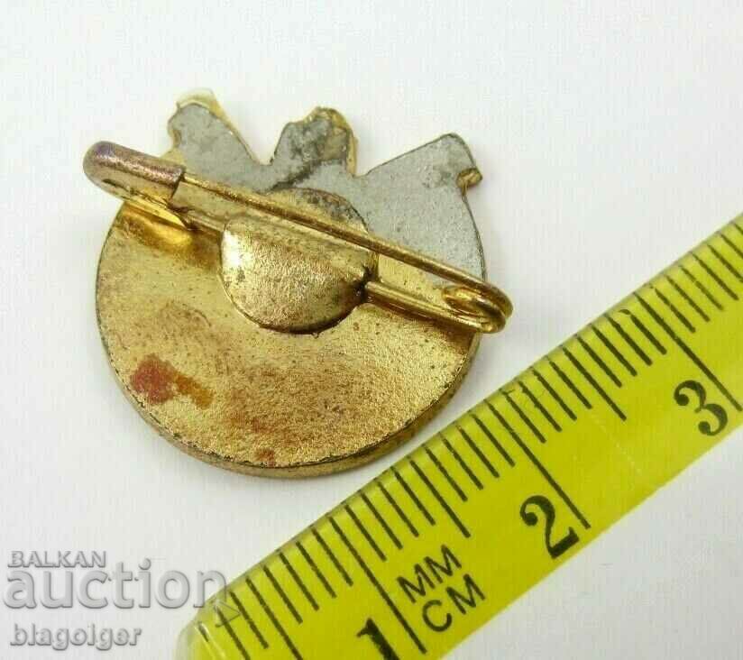 INSIGNA VECHIA-EGIPT-FEDERATIA CANOE cu preț 9.99 BGN | € 5.11