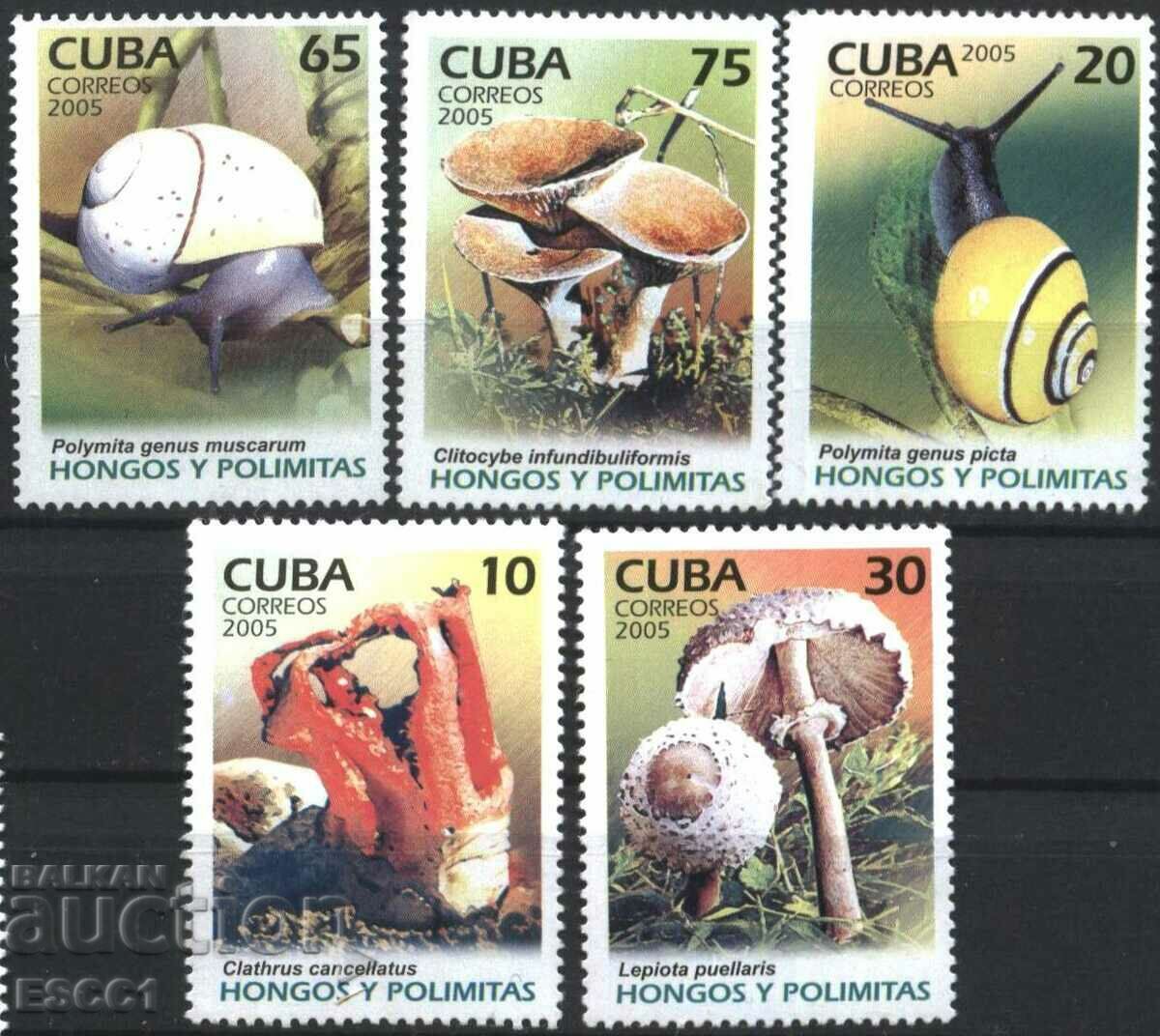 Chisi stamps Flora and Fauna, Mushrooms and Snails 2005 from Cuba