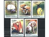Чиси марки Флора и Фауна, Гъби и Охлюви 2005 от Куба