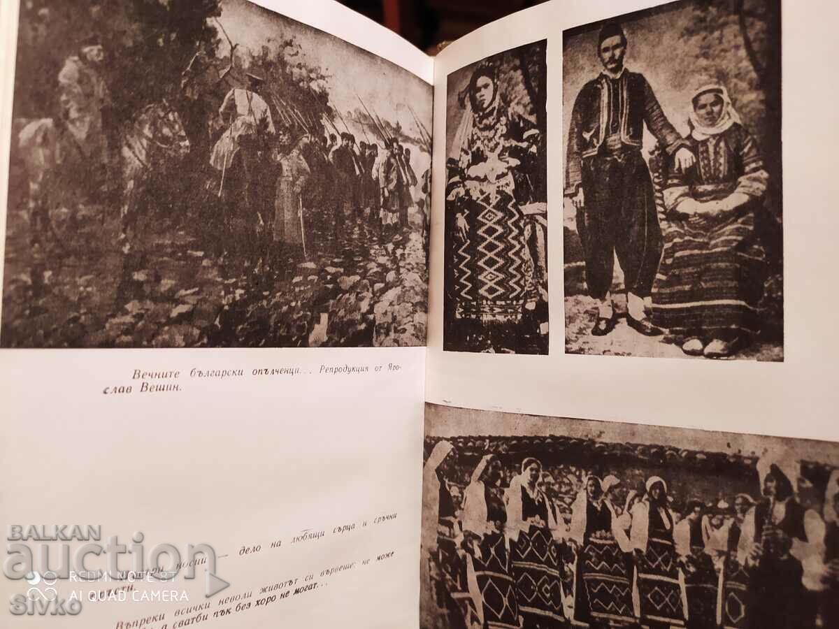 Auction  Fatherland, Hristo Brzytsov, many photos